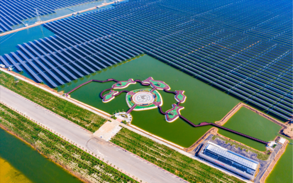 配资好评股票配资网站 通威股份发布2025年一季报：291.46亿现金在手，静候光伏行业周期反转