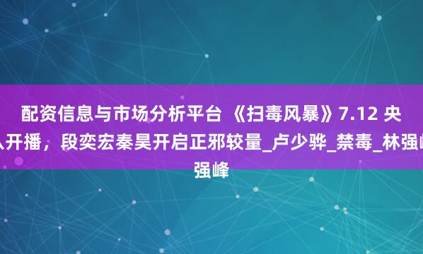 配资信息与市场分析平台 《扫毒风暴》7.12 央八开播，段奕宏秦昊开启正邪较量_卢少骅_禁毒_林强峰