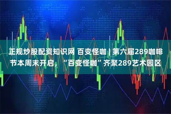 正规炒股配资知识网 百变怪咖 | 第六届289咖啡节本周末开启，“百变怪咖”齐聚289艺术园区